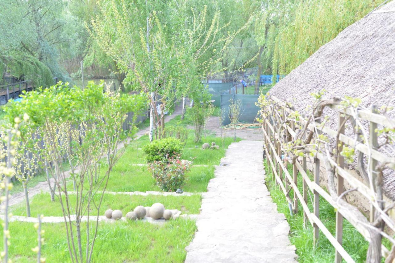 Pensiunea Yogi Dunavăţu de Jos 외부 사진